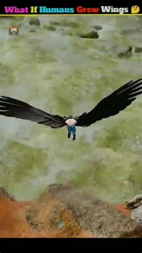 What If Humans Had Wings? The Reality of Human Flight #shorts #viral #trending #lyrics