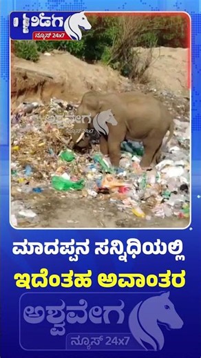 ಮಾದಪ್ಪನ ಸನ್ನಿಧಿಯಲ್ಲಿ ಇದೆಂತಹ ಅವಾಂತರ | Shocking Incident At Male Mahadeshwara Temple
