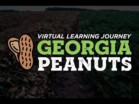 DEMO: Georgia Peanuts Virtual Learning Journey