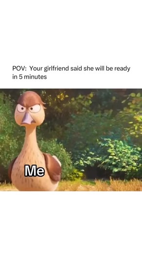 Clips. 🐼 on Instagram: "Real Fun Fact: Migration (2023) was inspired by real duck migration routes, and the filmmakers studied actual bird flight patterns and family dynamics to make the Mallard family’s journey feel authentic—even though the story turns their trip into a big, adventurous road-trip in the sky. 🦆✈️"