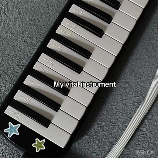 Discover the Melodica: My Vital Instrument