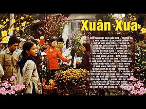 NHẠC XUÂN XƯA TRƯỚC 1975 - 25 Bài Nhạc Xuân Xưa Bất Hủ Đắt Giá Vô Cùng | Đón Xuân Này Nhớ Xuân Xưa