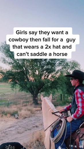 Austin Colson on TikTok