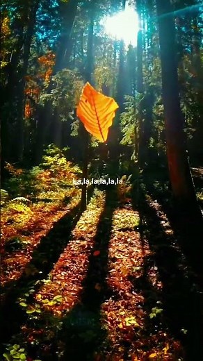 Coldplay - Hymn for the Weekend (lyrics & nature aesthetic 🌿) | English Song |#nature