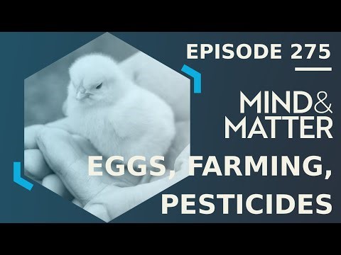 Are Seed Oils Are Making Us Fat & Sick? The Shocking Truth About Eggs, Soy, and Modern Farming