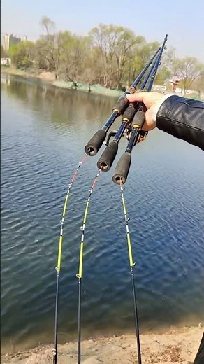Cần Câu Máy ĐỨNG IKADA 1,61m Cho Cá Dìa 4-6kg? #3 #fishing #shortvideo