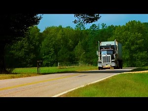 Black Dog Remastered (1998) - Orchard Chase | 4K UHD