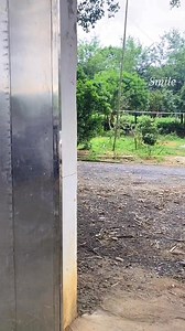 Funny 😂 | Magic Show