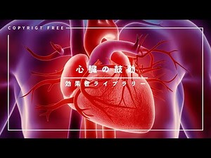 【商用利用可能/フリー素材/著作権フリー/効果音】心臓の鼓動音