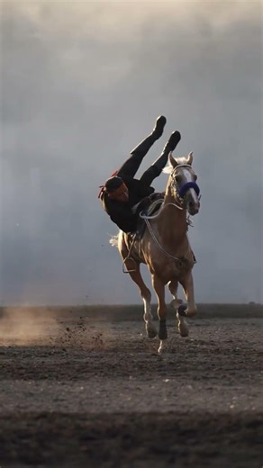 Galloping on horseback #horse #horsevideo