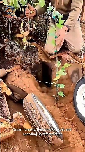 Smart forestry: Reducing the cost and speeding up reforestation...