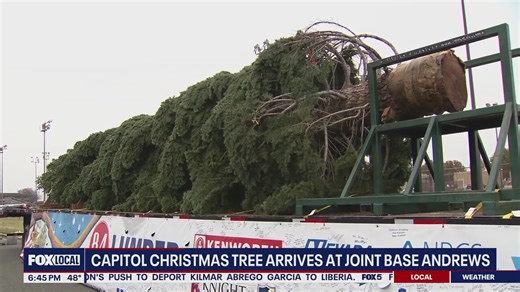 Capitol Christmas tree arrives at Joint Base Andrews