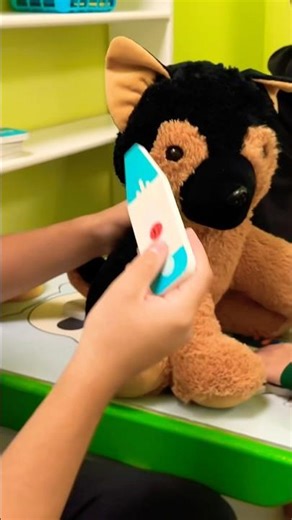 Amazing Animals 🐾 | Fun Family Adventure