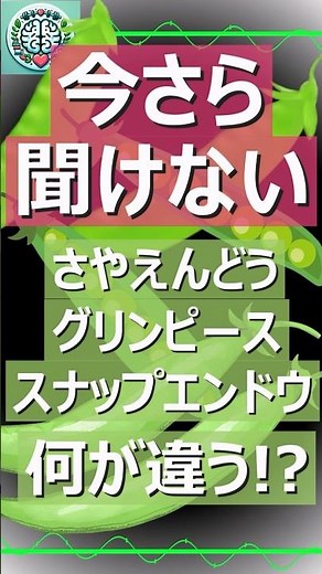 【今更聞けない】さやえんどう/グリンピース/スナップエンドウの違い #shorts #雑学 #料理 #豆知識