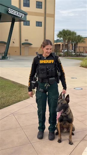 Say hello to our newest K9 duo: Deputy Lindsay Schuttler and K9 Java! 💙 A big thank you to @darkhorsecoffeecompany for their generous donation that helped us add this fur missile to our team 🐾 #PCSO #PolkSheriff #K9Unit FOLLOW JAVA on IG @pcso_k9java | Polk County Sheriff's Office