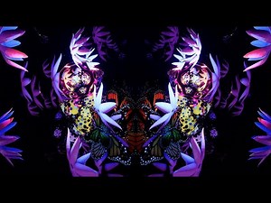 Kadela - Set 2020 (Microdose VR by Glass Crane)