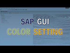 [TIPS] How to Change SAP Color Settings