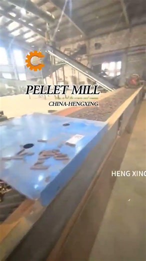 15th ring die wood pellet machine working＃feed pellet mill
