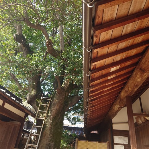 笠岡市観光協会【公式】 | 本日は、先日ガイド研修で訪れた「真鍋島」の様子をご紹介いたします😊 笠岡諸島のひとつである真鍋島は、数々の映画ロケ地としても知られる歴史ある島🏝️ 岡山県の「ふるさと村」にも認定されており、趣ある漁村の風景が今も大切に守られています🎣 ＼真鍋島のここが魅力／... | Instagram