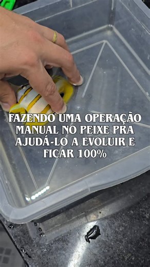 DK Fish Store on Instagram