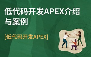 【低代码开发APEX】低代码开发APEX介绍与案例