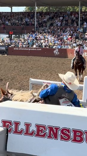 15K views · 386 reactions | The Saddle Bronc Champ #rodeo #horse #nfr #champ #cowboy | Bull Riding TV | Facebook