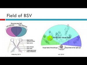 Field of BSV