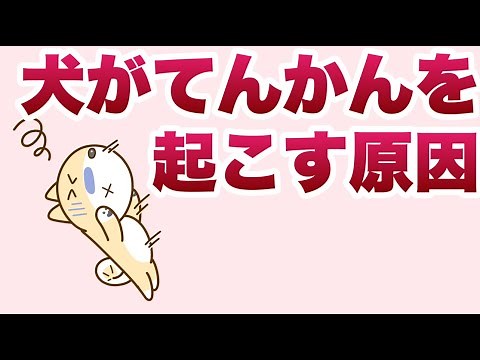犬がてんかんを起こす原因｜3つの視点から獣医師が分かりやすく解説