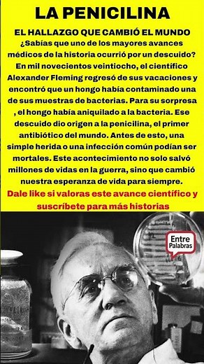 ¡El descuido que salvó a millones! La historia de la Penicilina