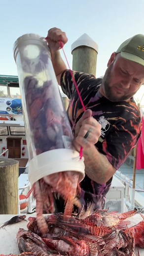 Lionfish Extermination: Spearfishing Invasive Species in the Mediterranean and Caribbean