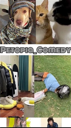 Animals Talking Like Humans 😍Pt-209 | Funny Animal Voice Over #cowsho #funnyanimals #animalcomedy