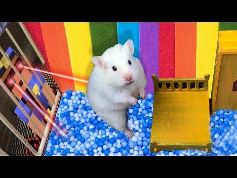 🐹 PRO Hamster Escapes Awesome Prison Maze 🐹 Hamster Story