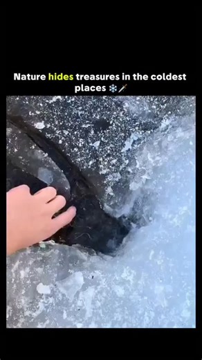 worldreels.io on Instagram: "The post features a 10-second video of a hand delicately extracting a long, translucent icicle resembling a sword from a frozen stream edge, captivating viewers with nature's precise formation and amassing 917k likes and 19m views within 24 hours. This flexible ice strand forms when thin surface ice over flowing water stretches without breaking, a property explained by research in Science Advances (2021) showing ice nanowires bend like plastic due to mobile dislocati