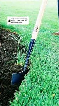 Săn tìm kho báu của Dark Web (end) #chuyenkinhdi #chuyenma #chuyentamlinh