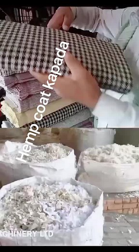 Dr Ganesh Hemp on TikTok