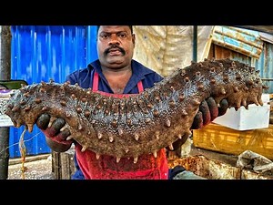 Never Seen Before! Giant Size Fish Cutting at Hidden Paradise Seaside Market Masterclass