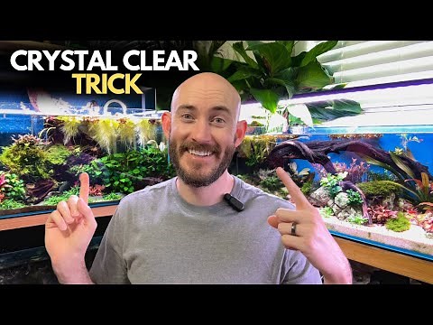 First Time Setting Up a Canister Filter? Do THIS for Clear Water