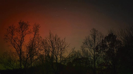 I recorded this time lapse of the busy night sky last night 📷 | Max Hoecker Photography
