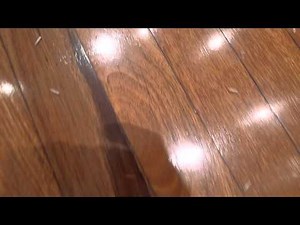 Maggots on floor of kitchen
