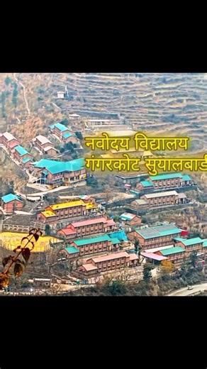 Jawahar Navodaya vidyalaya Nainital ❤️❤️|| #shorts #viralshorts #newshorts #school