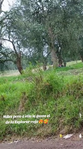 @#pura Explorer 😍😍