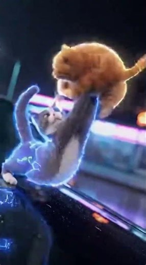 Cat vs cat Final Battle #cat #comedy #funny