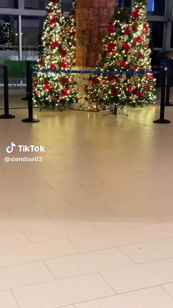 Explora Haití con Etienne Travel Agencia