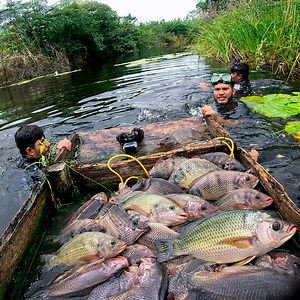 Pesca con arpón en aguas estancadas repletas de tilapias gigantes Increíble abundancia | Pesca y Aventura
