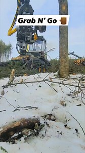 Hs16 Ergo Working Hard #equipment | Logger Mack