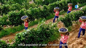 China's drive for common prosperity helps build a fairer world What does common prosperity mean to China with a population of over 1.4 billion people? What opportunities will it bring to the world? | Chinese Embassy in South Africa