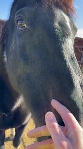 76K views · 8.9K reactions | And over to say hello to beautiful save...