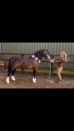 Glyncoch Presley Triumphs at 2026 Winter Fair