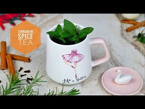 cinnamon spice tea | Herbal tea recipe | winter hot drink| ASMR Sound