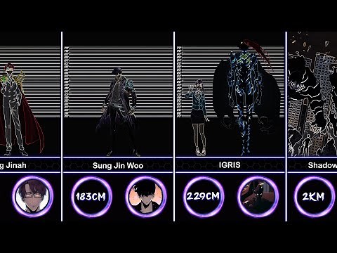 Height Comparison of Solo leveling Characters